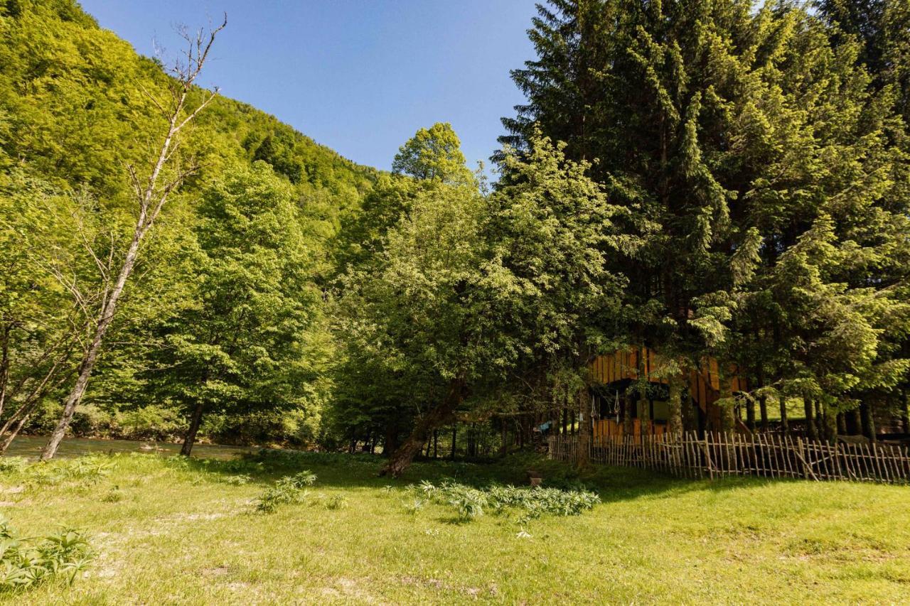 Treehouse Kupari Nacionalni Park Risnjak Cabar Exterior foto