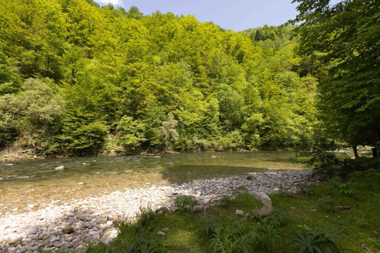 Treehouse Kupari Nacionalni Park Risnjak Cabar Exterior foto